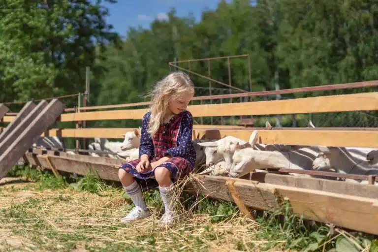 Życie na wsi jako alternatywa dla miasta — zalety, wyzwania i codzienność